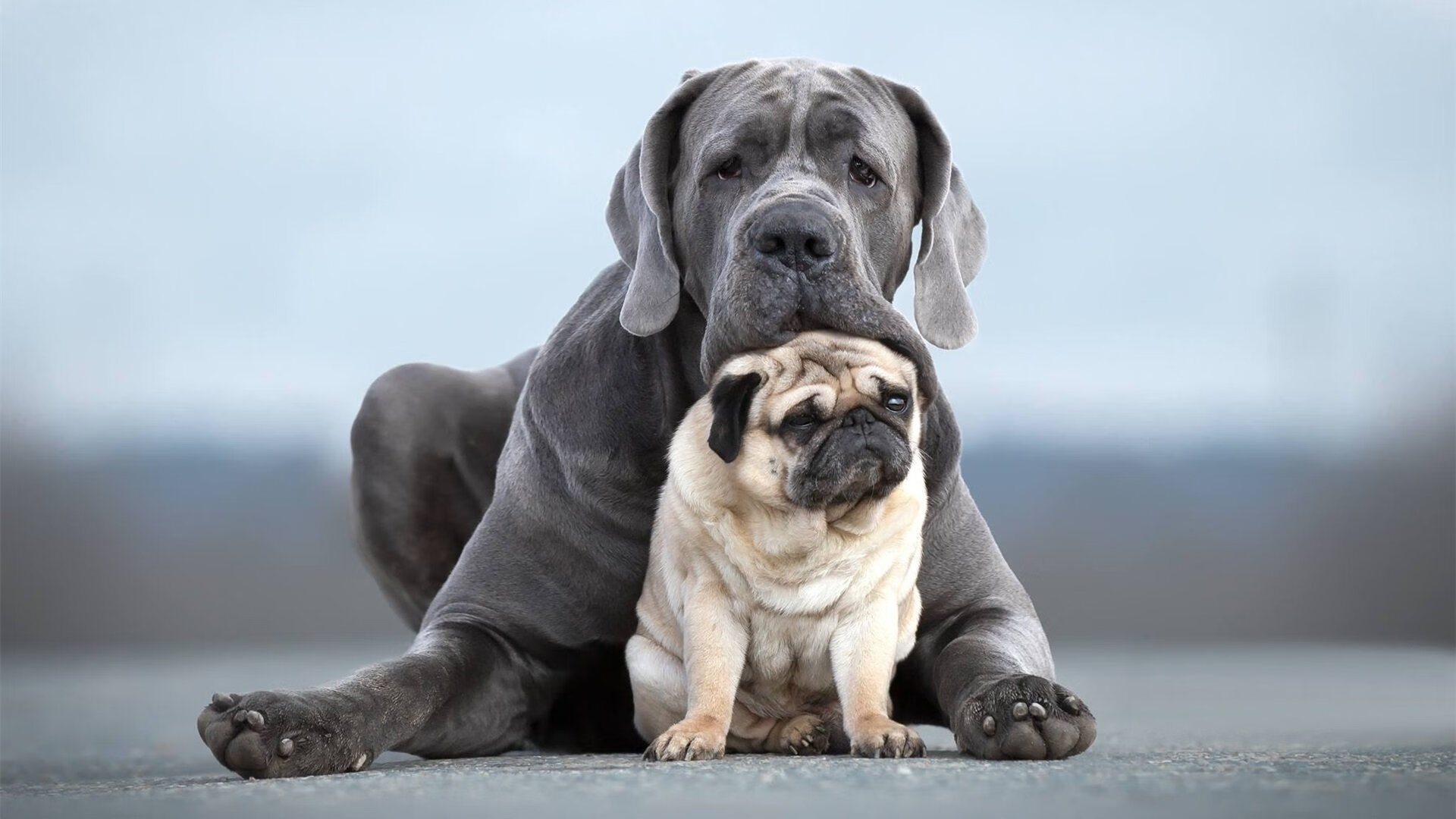 开云平台-西决生死战之夜，帕尔默用隐形代码撕裂了联盟第一的防守算法