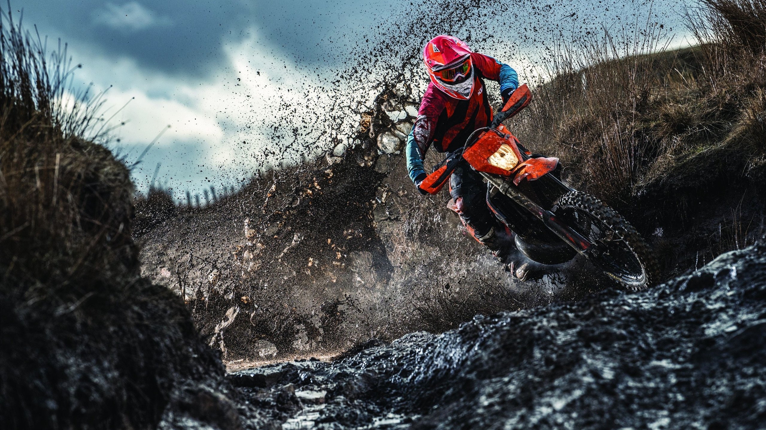 雄鹿加时鏖战险胜开拓者，布克总决赛独揽42分演绎王者归来